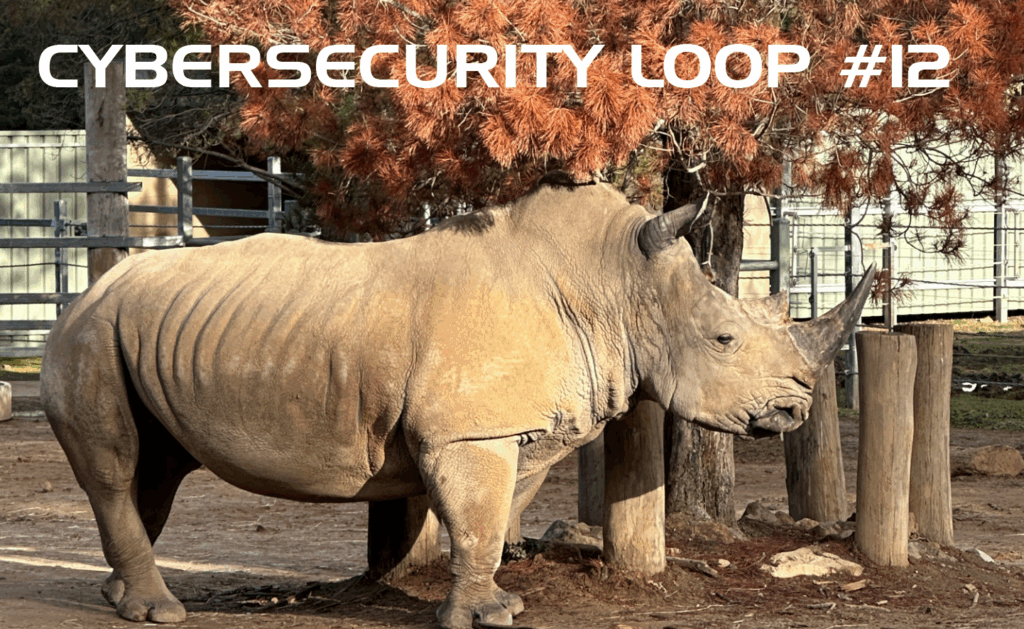 Cybersecurity Loop Newsletter #12